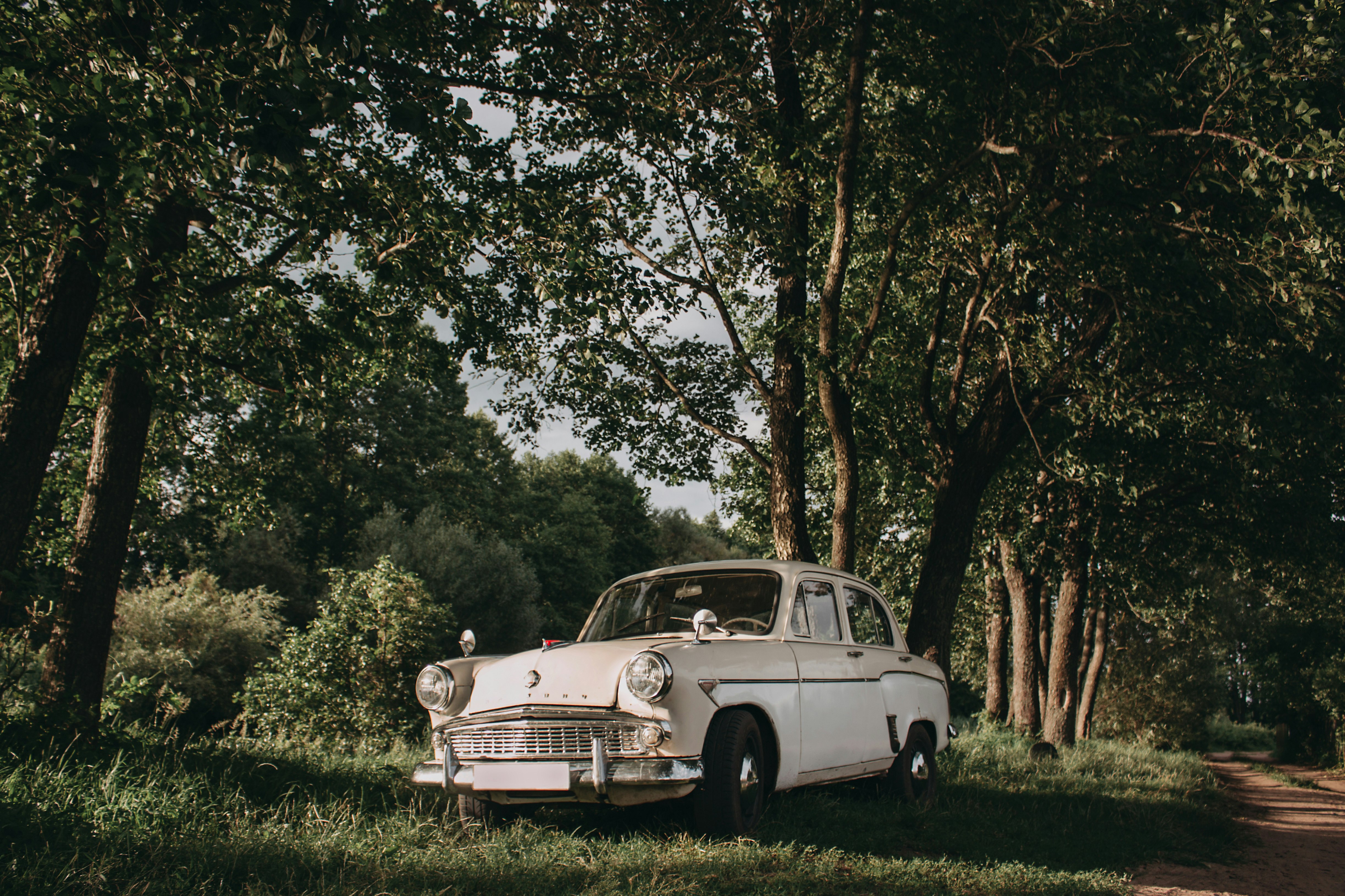 white vintage car parked on green grass field during daytime